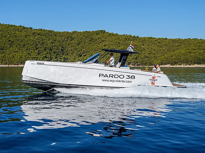 Pardo 38